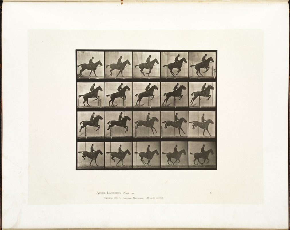 Animal locomotion. Plate 639