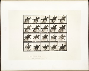 Animal locomotion. Plate 640
