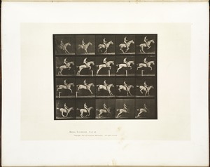 Animal locomotion. Plate 642
