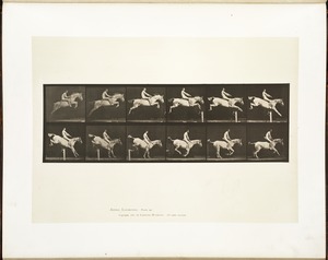 Animal locomotion. Plate 643