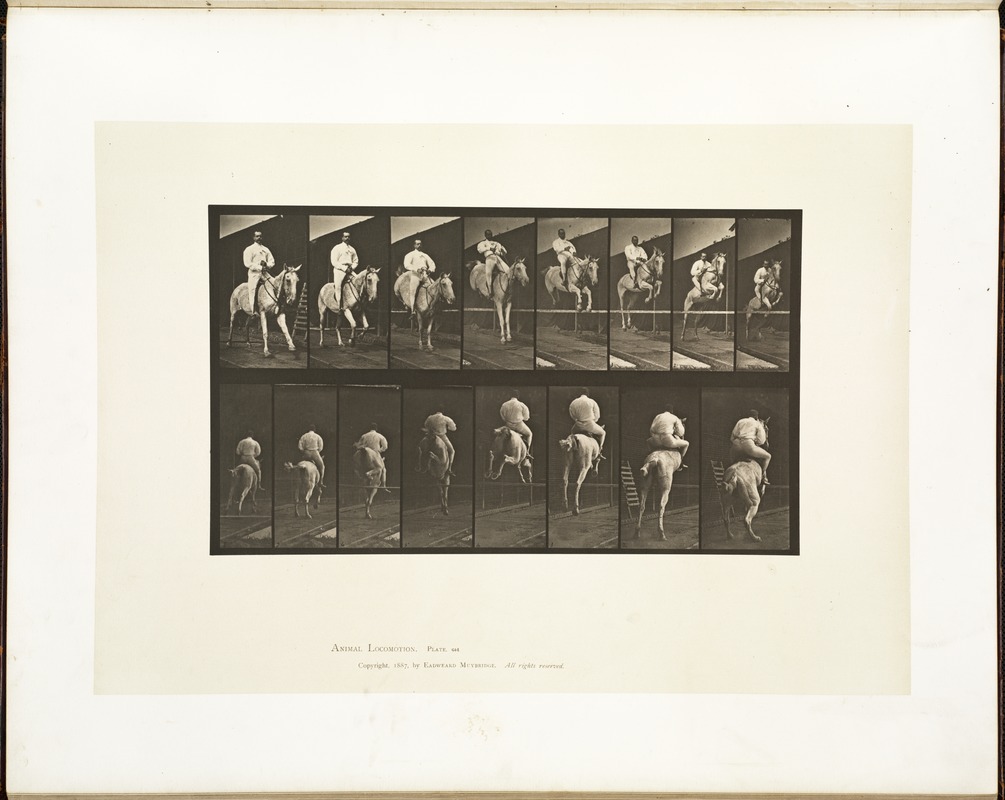 Animal locomotion. Plate 644