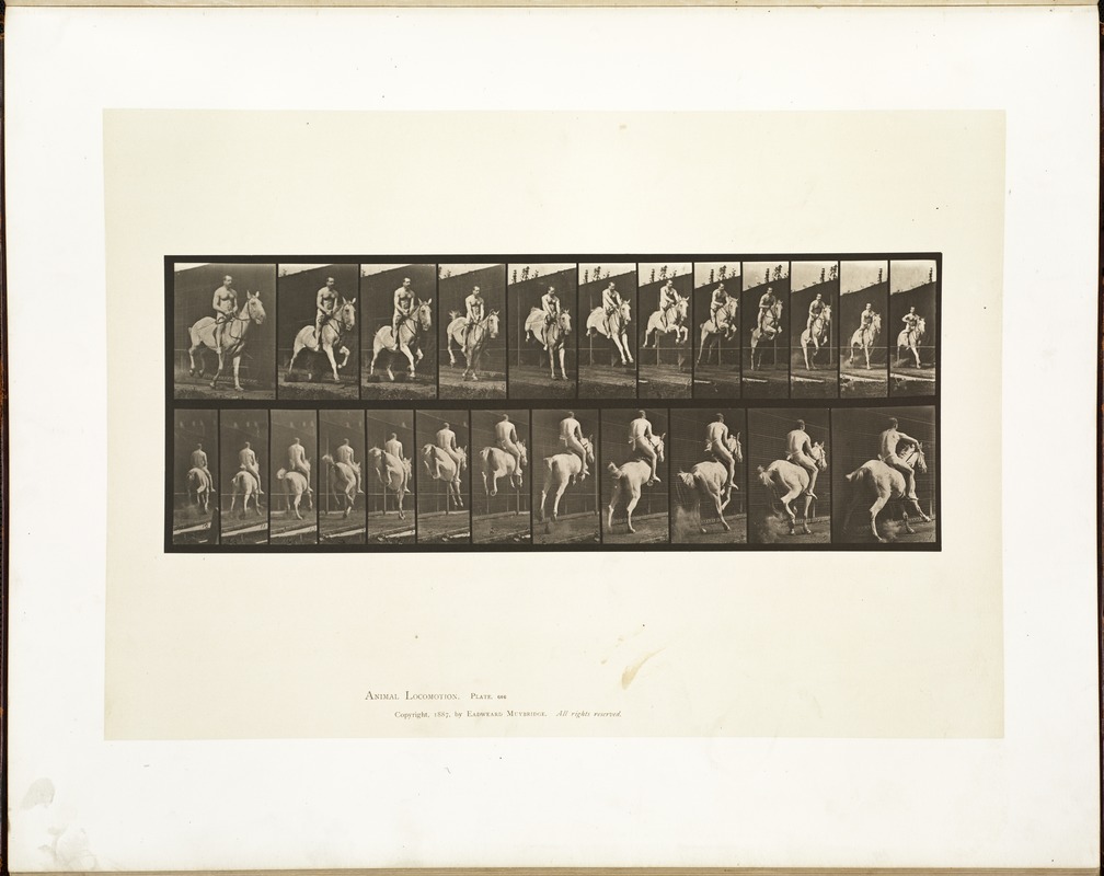 Animal locomotion. Plate 646