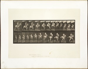 Animal locomotion. Plate 646