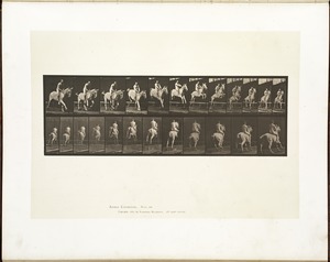 Animal locomotion. Plate 647
