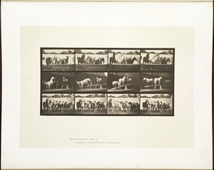 Animal locomotion. Plate 651