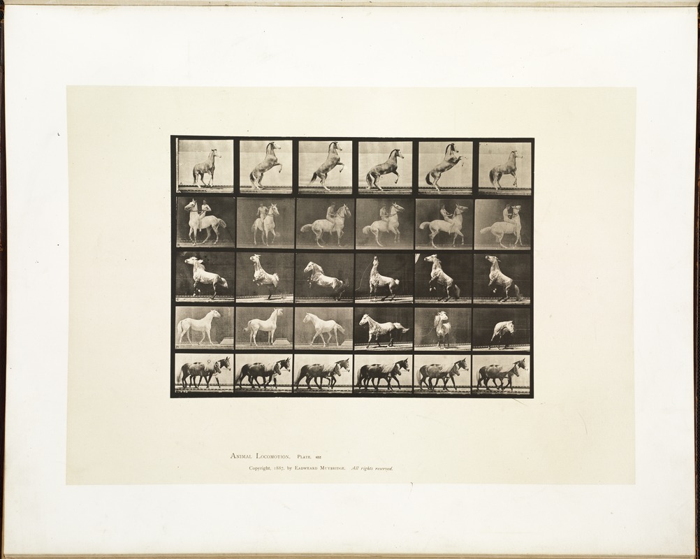 Animal locomotion. Plate 652
