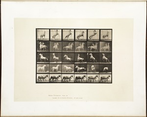 Animal locomotion. Plate 652