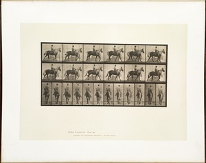 Animal locomotion. Plate 653