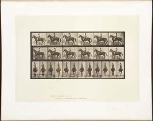 Animal locomotion. Plate 654
