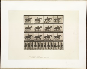 Animal locomotion. Plate 655