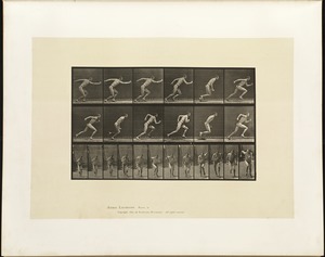 Animal locomotion. Plate 59