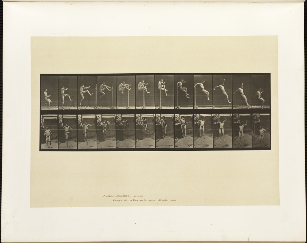 Animal locomotion. Plate 152