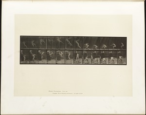 Animal locomotion. Plate 157