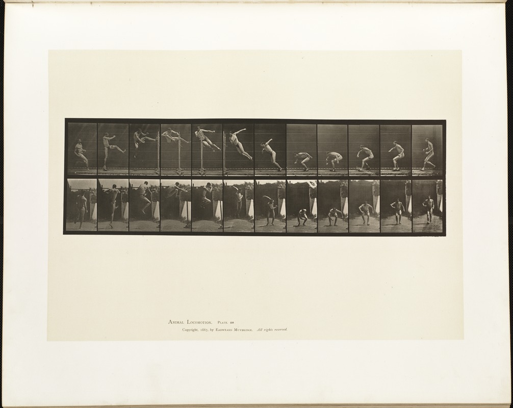Animal locomotion. Plate 158