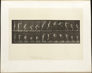 Animal locomotion. Plate 161