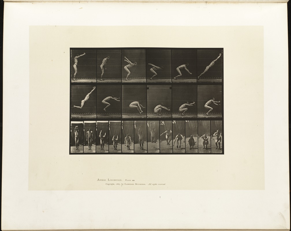 Animal locomotion. Plate 163