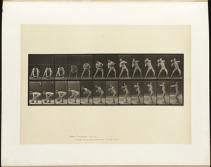 Animal locomotion. Plate 318
