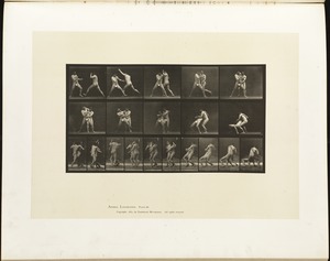 Animal locomotion. Plate 331