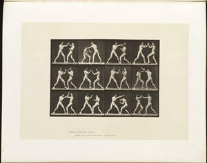 Animal locomotion. Plate 336