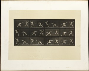 Animal locomotion. Plate 349