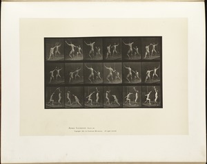 Animal locomotion. Plate 350