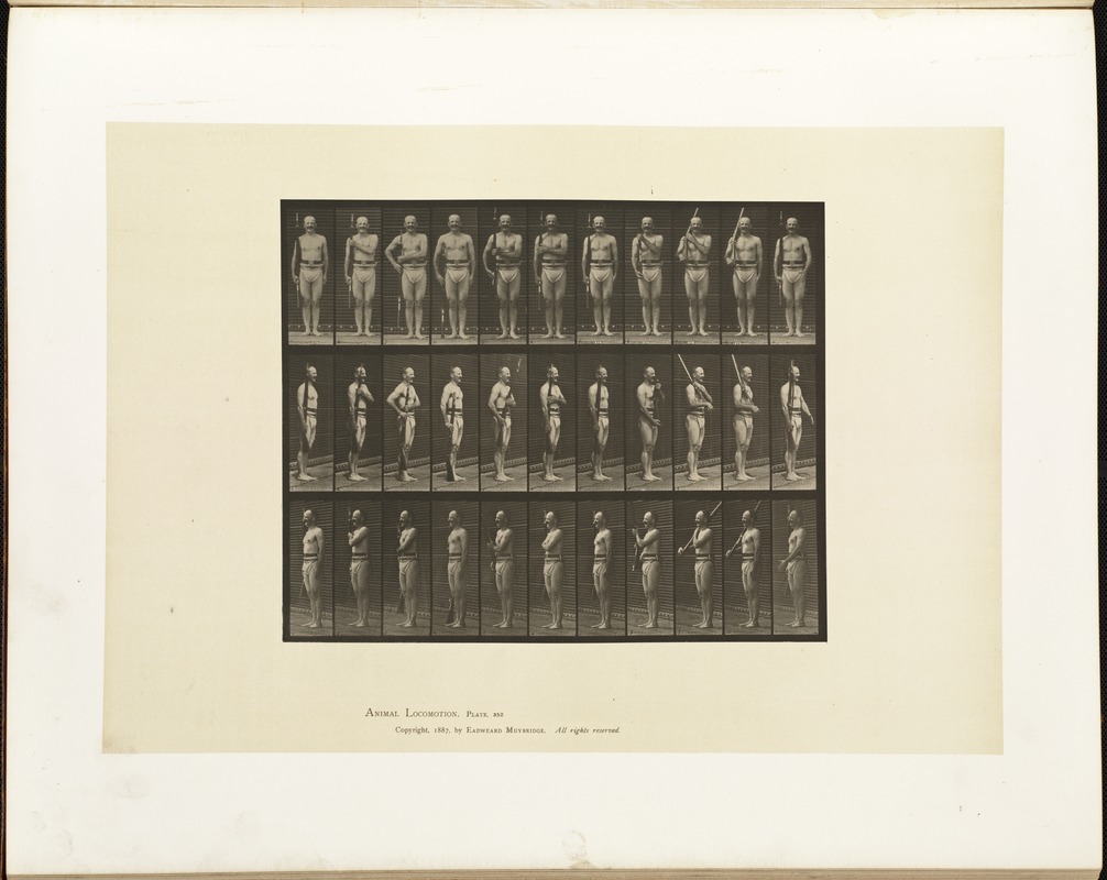 Animal locomotion. Plate 352