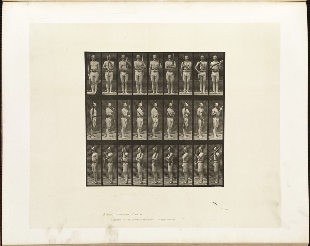 Animal locomotion. Plate 353