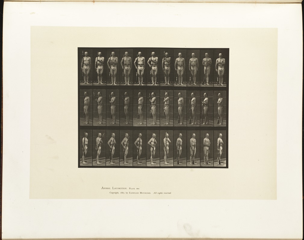 Animal locomotion. Plate 354