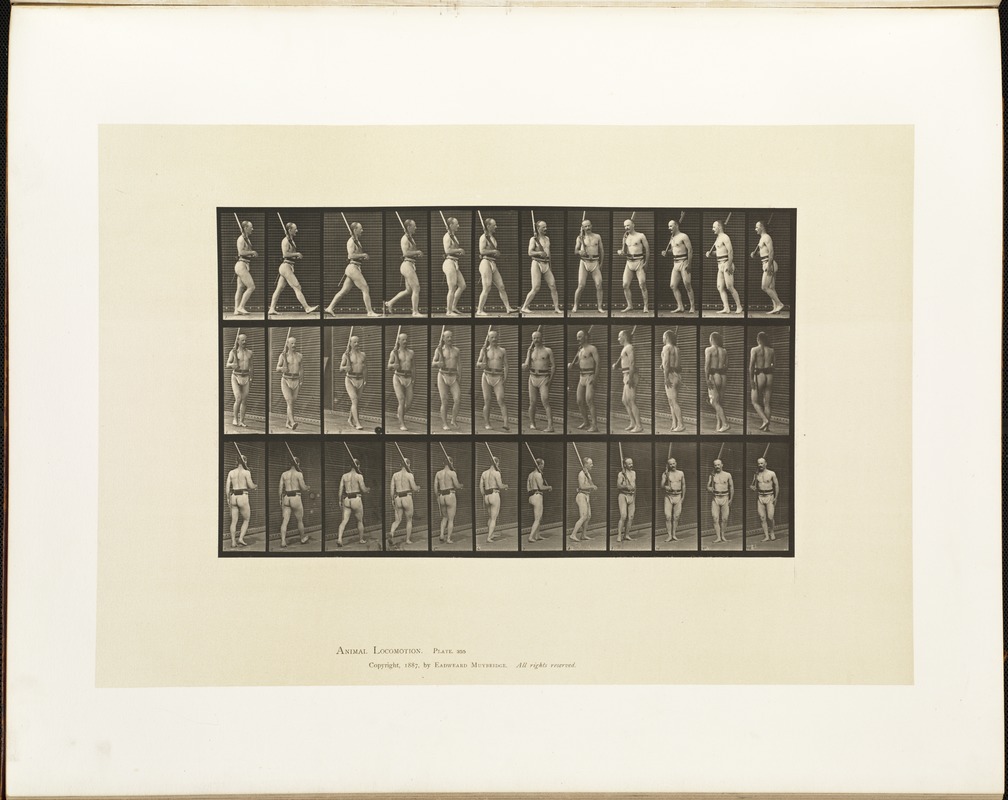 Animal locomotion. Plate 355