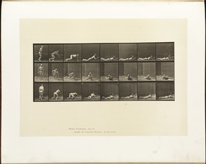 Animal locomotion. Plate 357