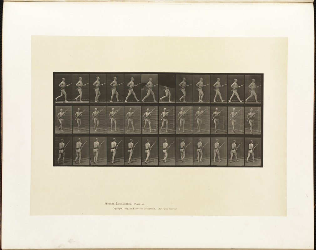 Animal locomotion. Plate 359