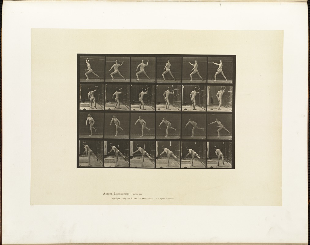 Animal locomotion. Plate 360