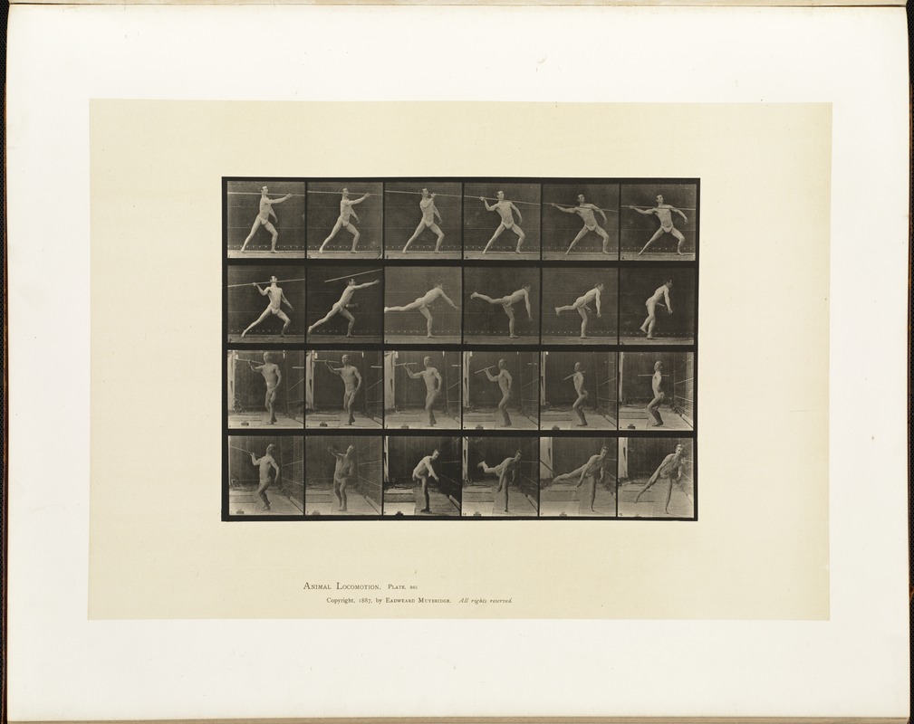 Animal locomotion. Plate 361