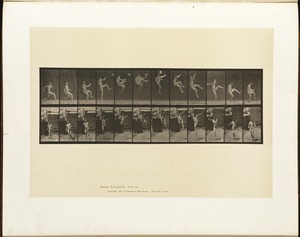 Animal locomotion. Plate 366