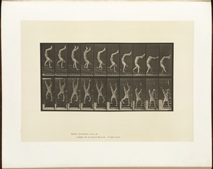 Animal locomotion. Plate 368