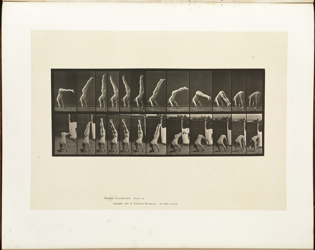 Animal locomotion. Plate 371