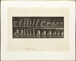 Animal locomotion. Plate 371