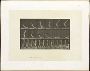 Animal locomotion. Plate 372