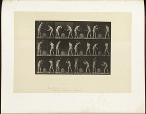 Animal locomotion. Plate 374