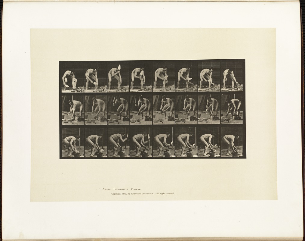 Animal locomotion. Plate 381