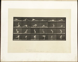 Animal locomotion. Plate 510