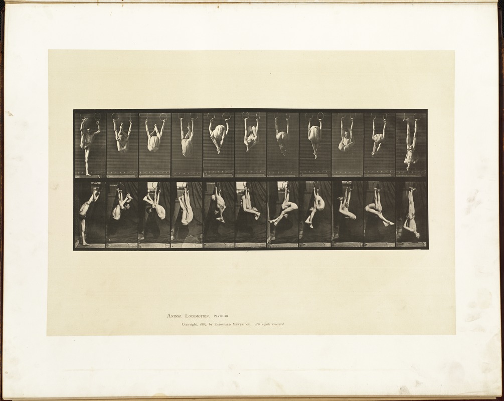 Animal locomotion. Plate 512