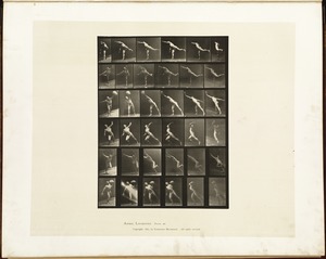 Animal locomotion. Plate 523