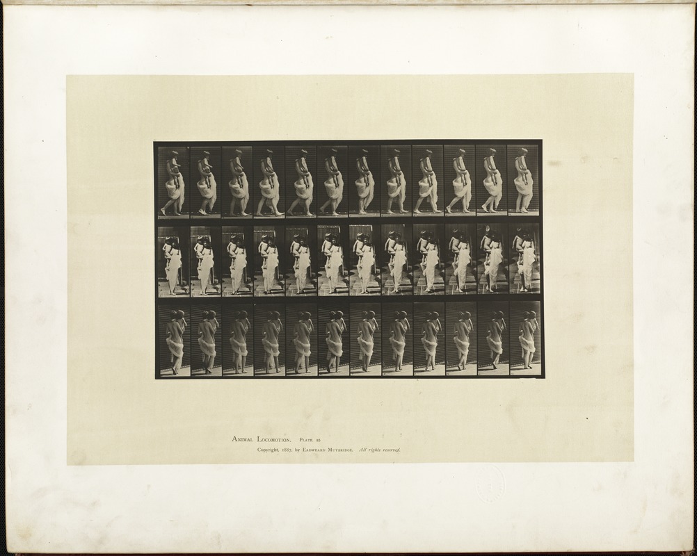 Animal locomotion. Plate 35