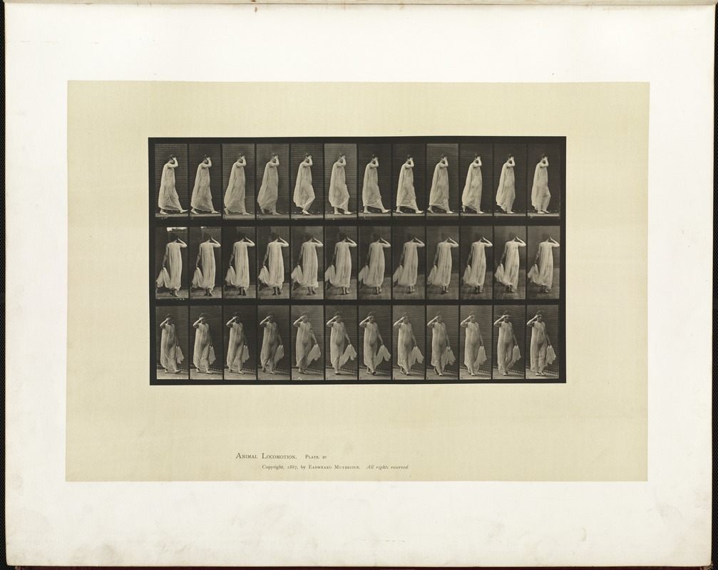 Animal locomotion. Plate 37