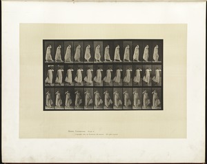 Animal locomotion. Plate 37