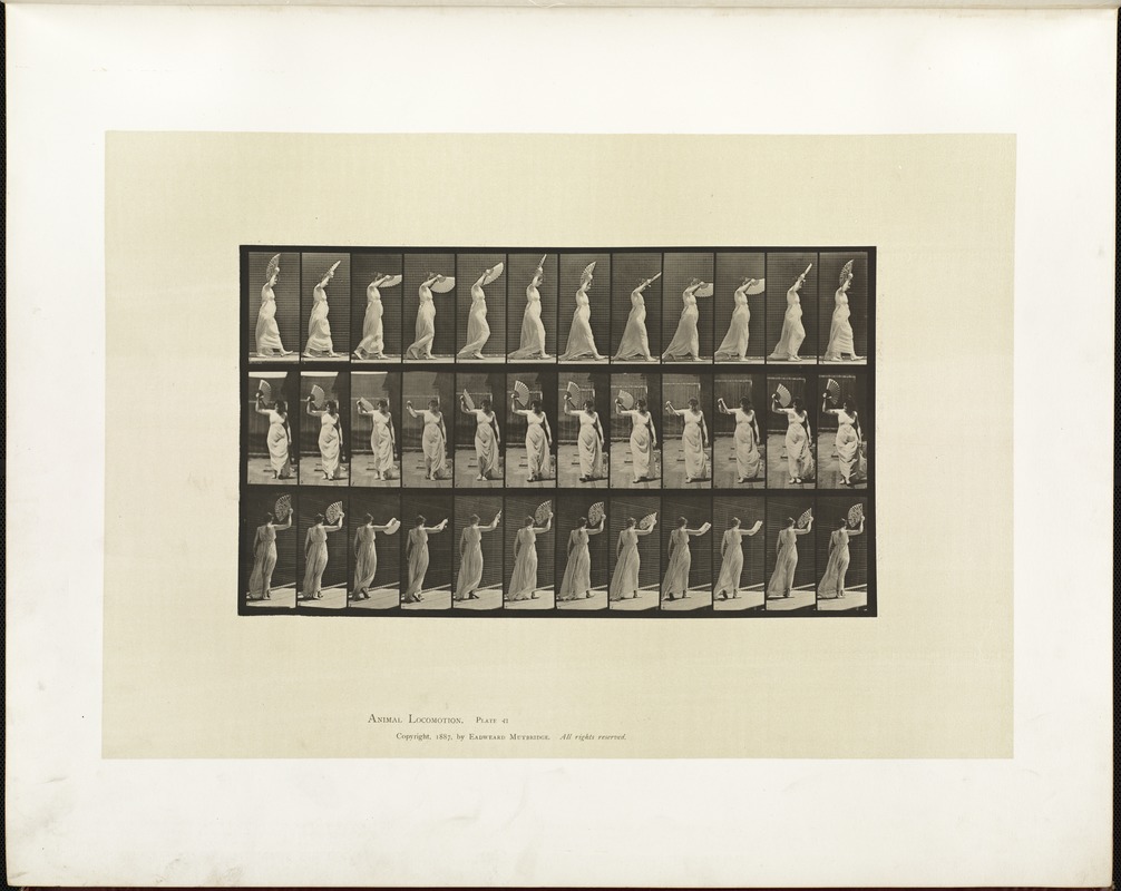 Animal locomotion. Plate 41