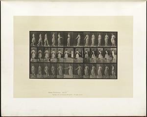 Animal locomotion. Plate 53