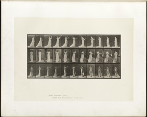 Animal locomotion. Plate 55