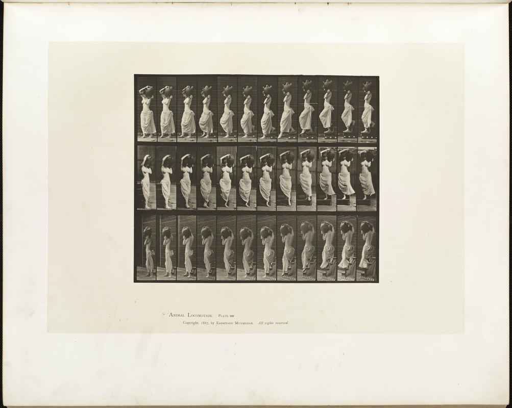 Animal locomotion. Plate 146